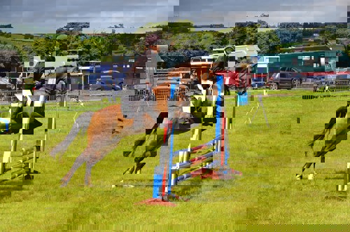 A person on a horse jumping over a hurdle