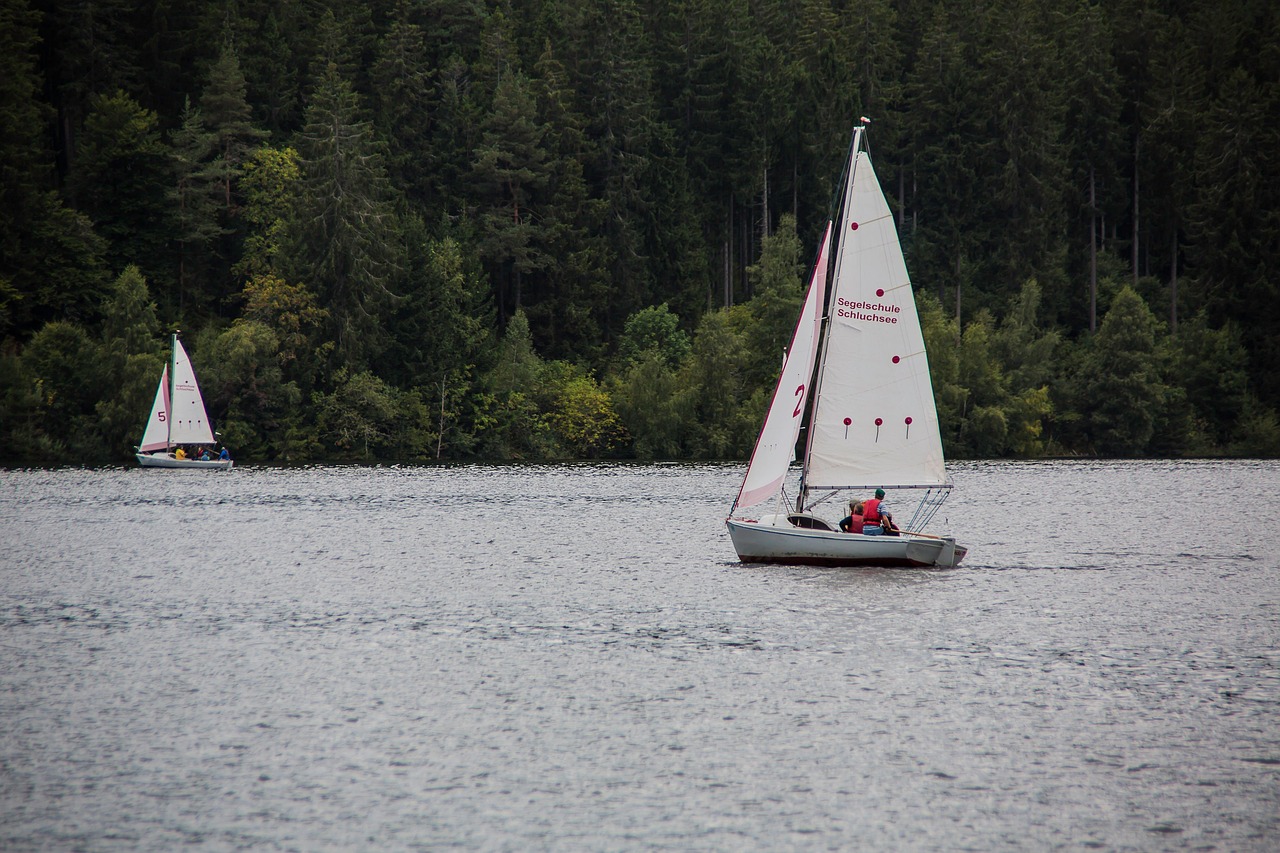 Two sailboats on water with a forest backdrop